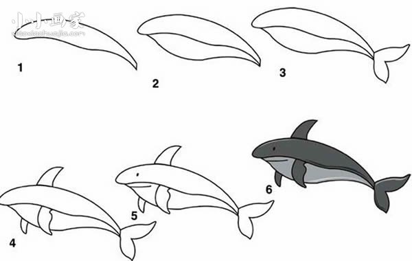 绘本故事鲨鱼简笔画画法图片步骤
