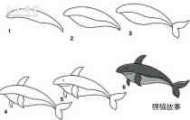 绘本故事鲨鱼简笔画画法图片步骤