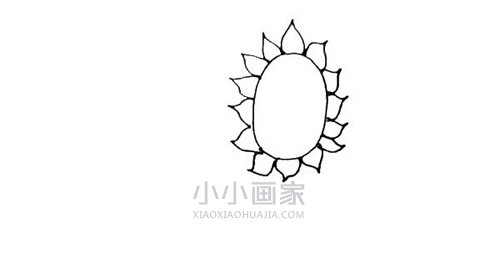 两棵向日葵简笔画画法图片步骤步骤3