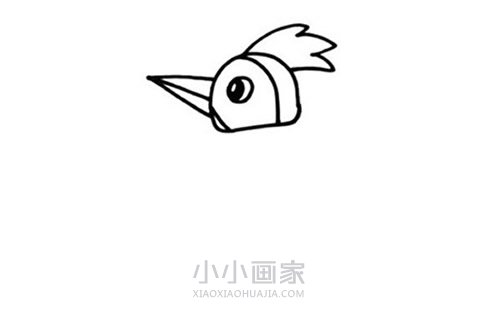 捉虫子的啄木鸟简笔画画法图片步骤步骤3