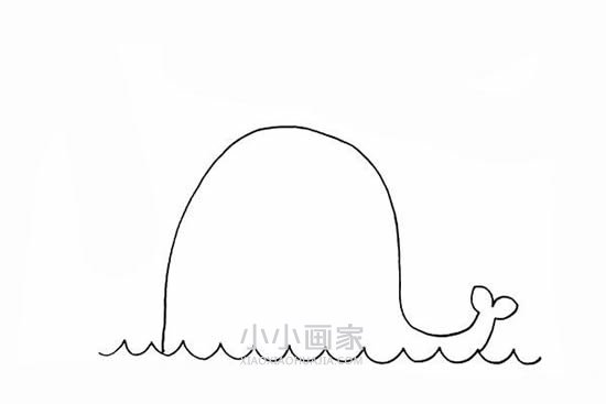 笑嘻嘻的鲸鱼简笔画画法图片步骤步骤4