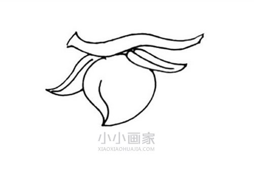 树上的桃子简笔画画法图片步骤步骤3
