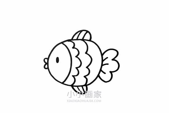 两条可爱小鱼简笔画画法图片步骤步骤4