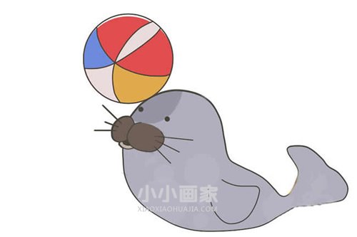 绘本故事表演杂技海豹简笔画画法图片步骤