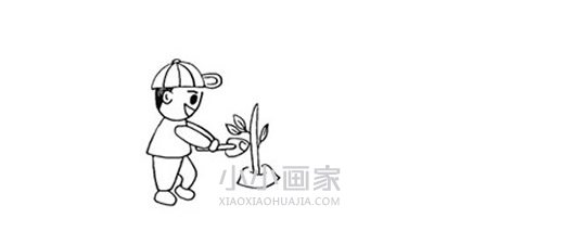五一劳动节种树简笔画画法图片步骤步骤4