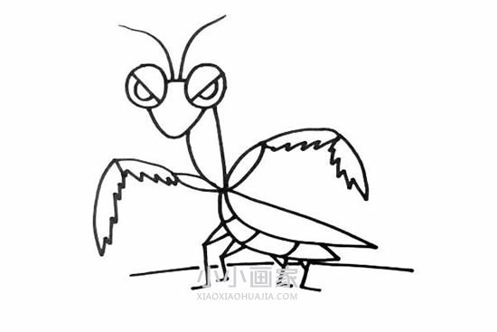 霸气螳螂简笔画画法图片步骤步骤5