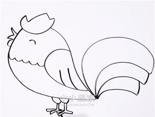 打鸣大公鸡简笔画画法图片步骤步骤6
