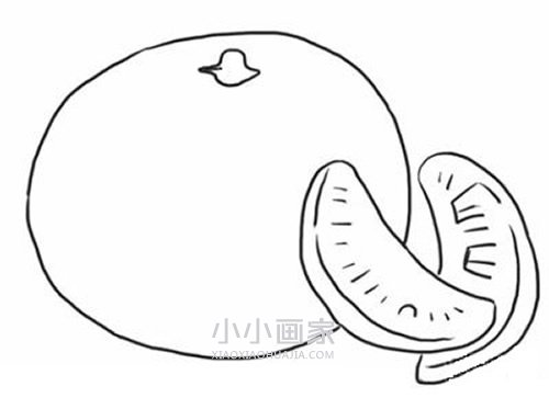 黑白橘子简笔画画法图片步骤步骤6
