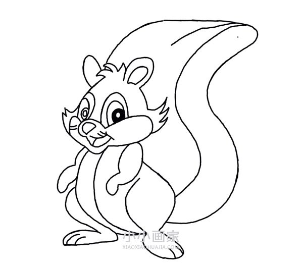大尾巴松鼠简笔画画法图片步骤步骤6