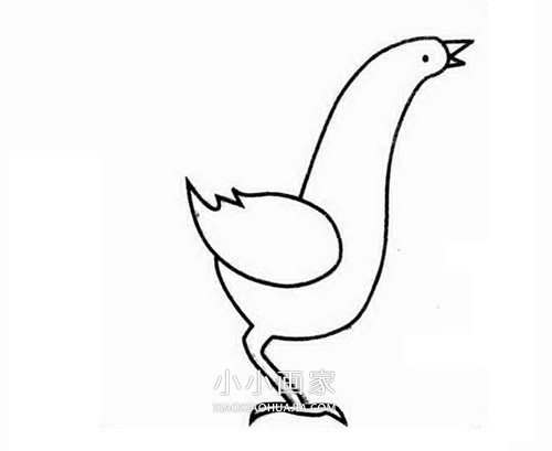 打鸣公鸡简笔画画法图片步骤步骤2
