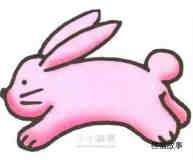 粉红小兔简笔画画法图片步骤
