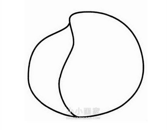 简单桃子的简笔画画法图片步骤步骤3