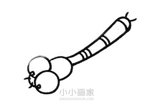 彩色蜻蜓简笔画画法图片步骤步骤4