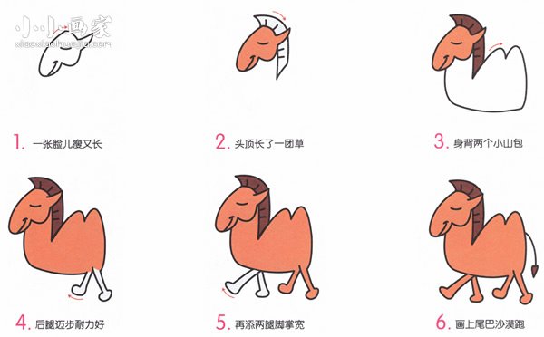 绘本故事彩色卡通骆驼简笔画画法图片步骤