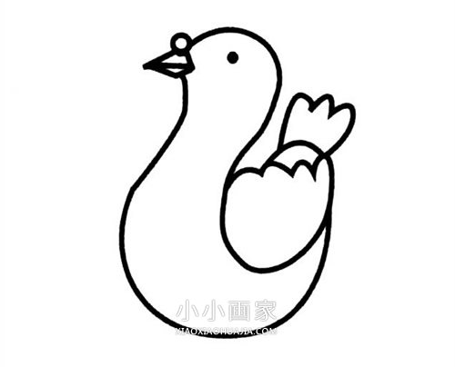 简单鸽子简笔画画法图片步骤步骤3