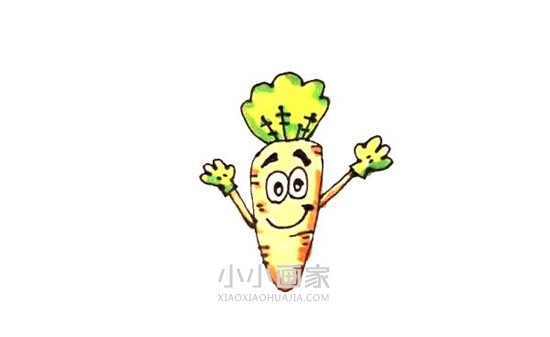 卡通萝卜简笔画画法图片步骤