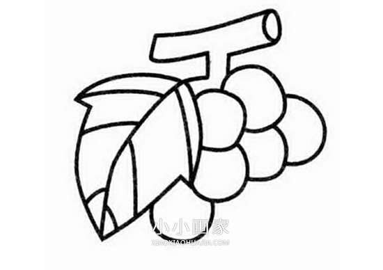 简单葡萄串的简笔画画法图片步骤步骤3