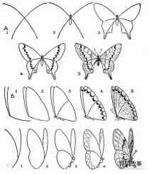 各种蝴蝶的简笔画画法图片步骤