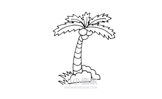 岛上的椰子树简笔画画法图片步骤步骤6