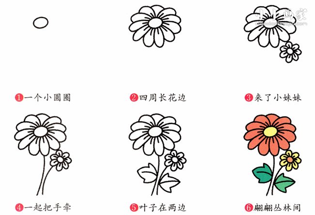 彩色菊花简笔画画法图片步骤步骤2