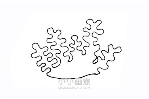 彩色珊瑚简笔画画法图片步骤步骤3