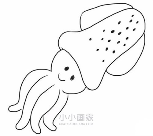 绘本故事可爱乌贼简笔画画法图片步骤
