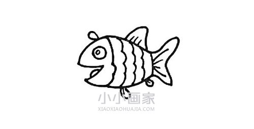 快乐的小鱼简笔画画法图片步骤步骤6