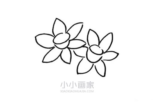 卡通水仙花简笔画画法图片步骤步骤4