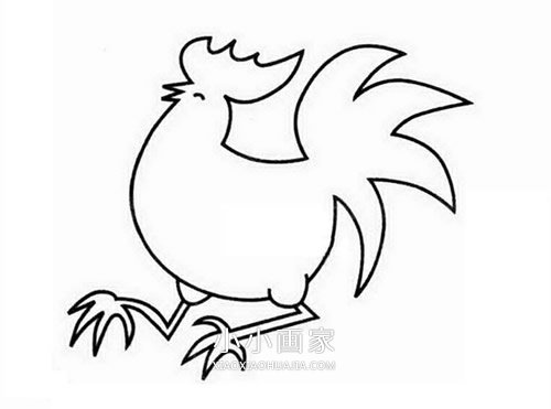 打鸣公鸡简笔画画法图片步骤步骤5