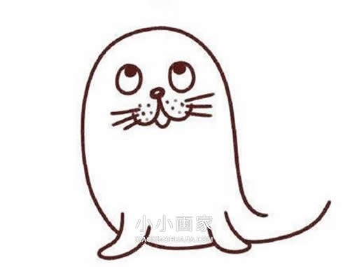 表演杂技的海豹简笔画画法图片步骤步骤4
