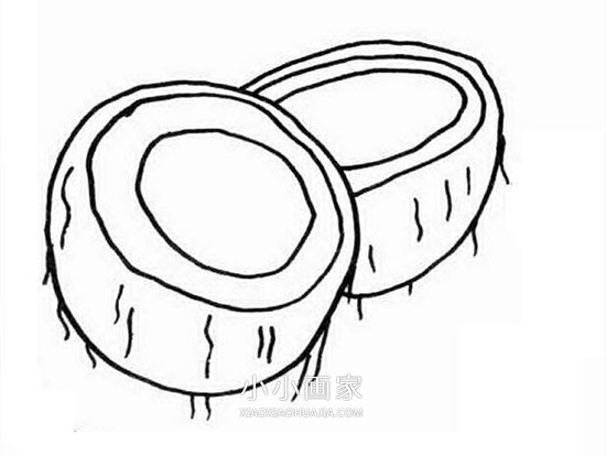 切开的椰子简笔画画法图片步骤步骤1